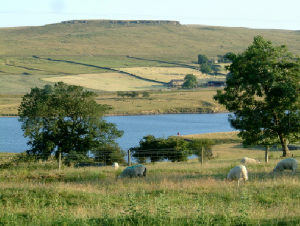 viewfromgarden2.jpg